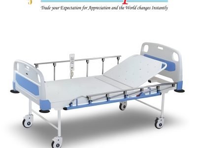 Fowler Hospital Bed with ABS Panels